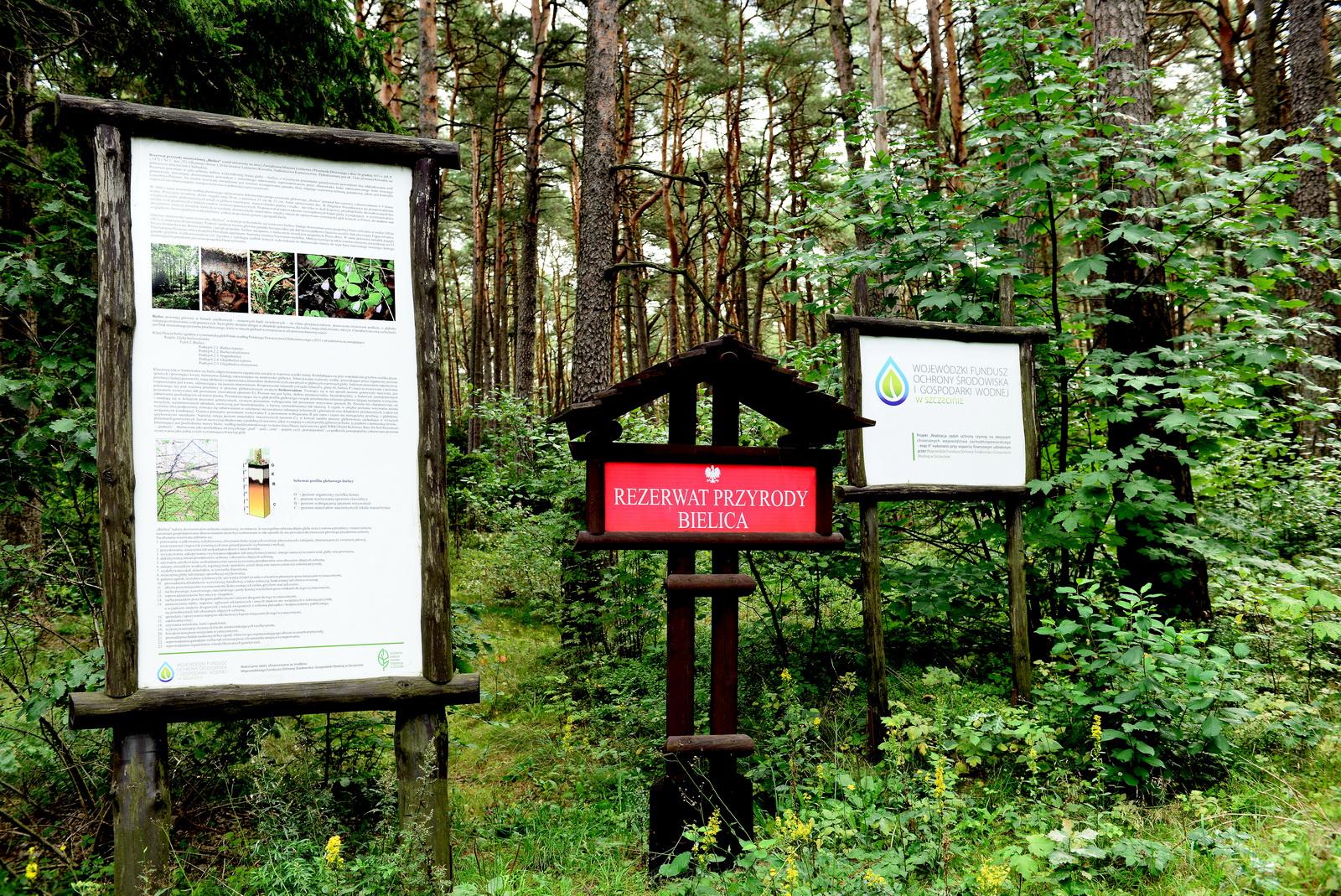 Rezerwat glebowy 'Bielica' w Koszalinie - tablica edukacyjna
