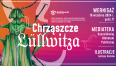 Grafika na różowo - fioletowym tle przedstawia wielobarwnego chrząszcza