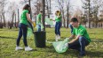 Wolontariusze sprzątający świat