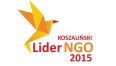 Logo "Lider NGO"