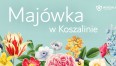 Majówka w Koszalinie
