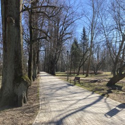 Park im. T. Kościuszki po realizacji projektu na obrazku tablica informacyjna, nowa aleja, po obu stronach widać drzewa i krzewy oraz nowe ławki