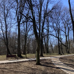 Park im. T. Kościuszki po realizacji projektu na obrazku tablica infrormacyjna, nowa aleja z rozwidleniem, na obrazku widać drzewa i krzewy oraz nowe ławki 