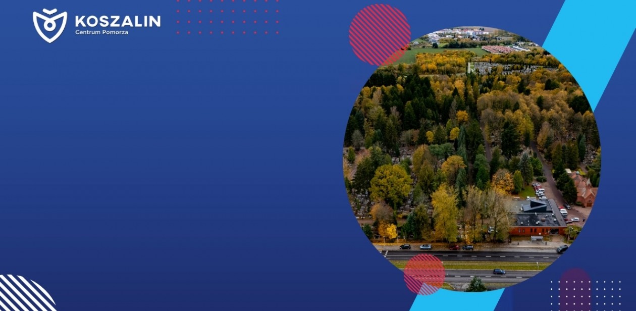 na zdjęciu znajduje się zieleń, wraz z architekturą miejską 