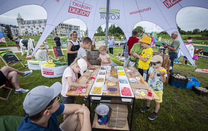 wakacje na wodnej dolinie w Koszalinie