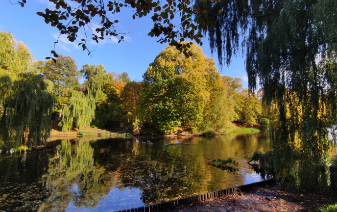 Park Książąt Pomorskich w Koszalinie 