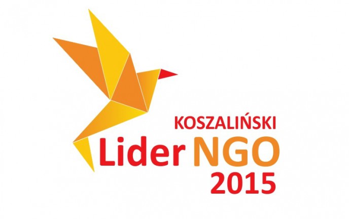 Logo "Lider NGO"