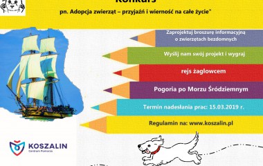 Konkurs o adopcji zwierząt