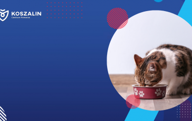 Na grafice znajduje się kot jedzący karmę