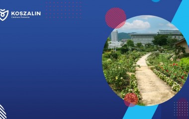 Na grafice widać ogród