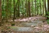 Single Track